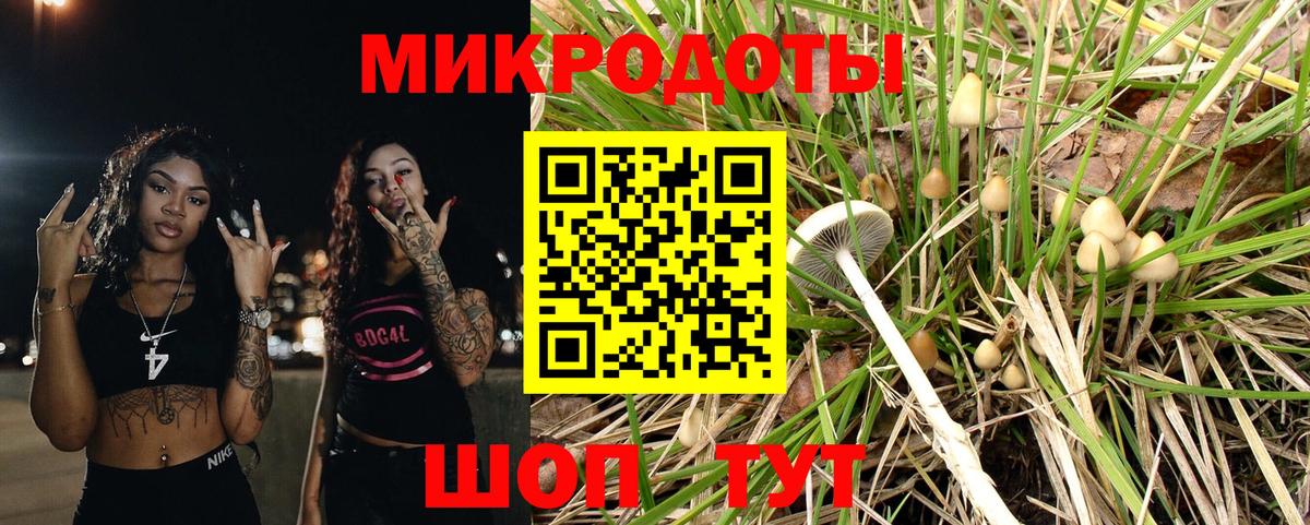 Галлюциногенные грибы мицелий  Псилоцибиновые грибы ЛСД  дарнет шоп  Богородицк  Вход с VPN 