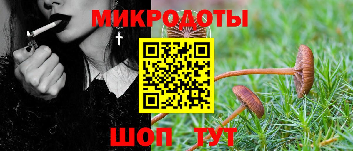 Псилоцибиновые грибы Magic Shrooms Богородицк